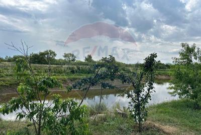 TEREN DE VANZARE - 29,656mp Bozanta Mica - 6