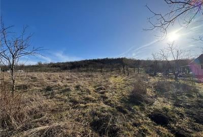 RECO Teren intravilan 2460 mp Santelec - 1