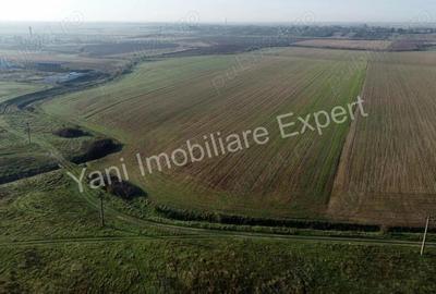 Teren de vanzare in comuna Cateasca, Jude? Arge?. - 6