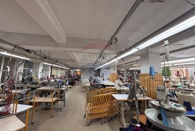 Spatiu industrial/ depozit/birouri de inchiriat in zona Turnisor - 5