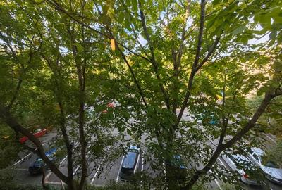 Apartament cu 3 camere decomandat, mobilat în Lujerului - 2
