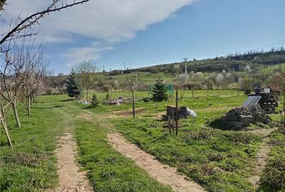 Spațiu comercial, în Blaj - 1