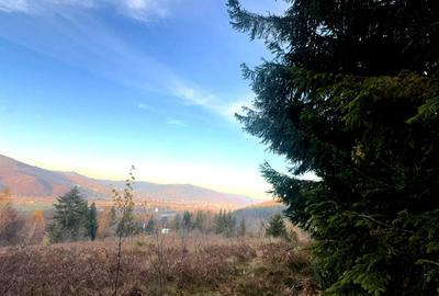 Vanzare 10 ha padure panoramica deasupra Voronetului Suceava - Proiect Turistic - 2