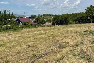 Teren Construcții intravilan de 1763 mp, în Jucu de Sus - 4