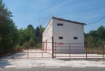 HALĂ DE VÂNZARE SAU ÎNCHIRIERE, ÎN  LOC.. BĂUȚAR, JUD. CARAȘ-SEVERIN - 2