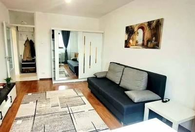 Garsonieră decomandată, mobilată în Doamna Ghica