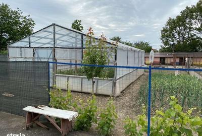 Casă cu 4 camere cu Teren 1000 Mp în Băduleasa - 2