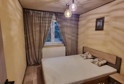 Apartament cu 2 camere semidecomandat, mobilat în Brazda lui Novac - 7