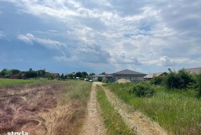 Teren de 22000 mp, în Balotești - 1