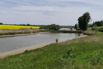 Loturi Teren Intravilan, Vedere la Lac - Frumusani - 5