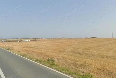 Teren de 50000 mp, în Central