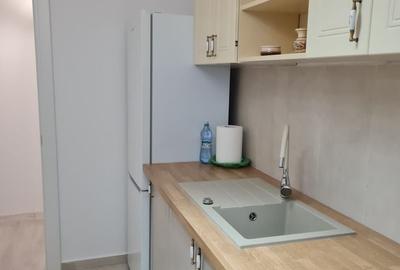 Apartament cu 3 camere semidecomandat, mobilat în Theodor Pallady - 8