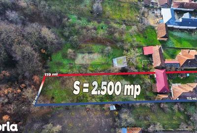 Casă cu 3 camere cu Teren 2500 Mp în Central