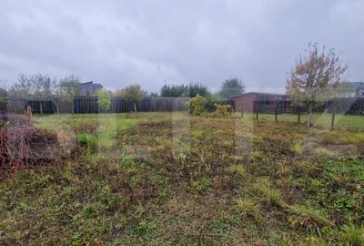 Teren Intravilan Harman cu utilitati , ingradit si casauta de lemn pe teren - 9