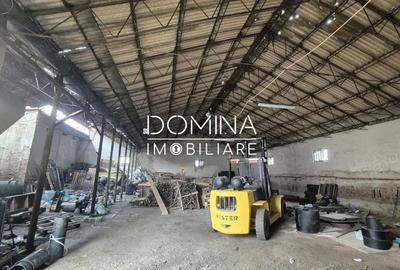 Vanzare Hala industriala cu teren 4.193 mp, situata in Barse?ti - 3