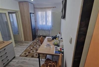 Apartament cu 2 camere semidecomandat, mobilat în Șagului - 6