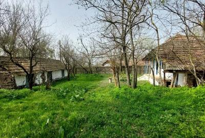 Vand casa traditionala ciolanesti Vand casa traditionala ciolanesti - 3