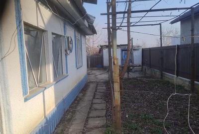 Casă cu 3 camere cu Teren 1168 Mp în Bivolari - 4
