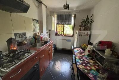 Apartament cu 2 camere semidecomandat, mobilat în Aleea Trandafirilor - 8