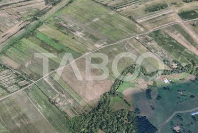 Teren de vanzare 17.000 mp in vecinatatea padurii Dumbrava - 1