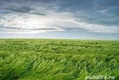 Teren în Central - 1