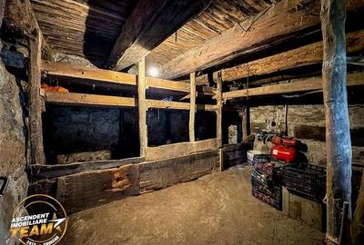 FILM! Oaza ta de liniste pe 0.5ha teren intravilan, Dalnic, Covasna - 33