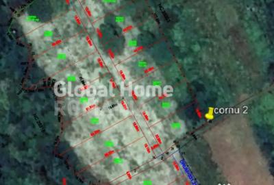 Teren de 23345 mp, în Cornu - 2