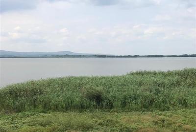 Teren intravilan construibil cu deschidere la lac - 8