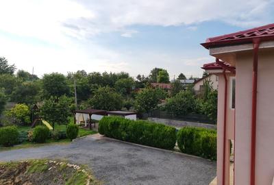 Vila pretabila amenajare pensiune in Delta Dunarii - Somova - 8
