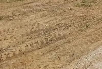 Teren de 3500 mp, în Theodor Pallady - 1