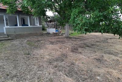 Casă cu Teren 2500 Mp în Terchești - 4