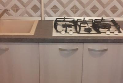 Ion Mihalache- Expozitiei Bucuresti - 8