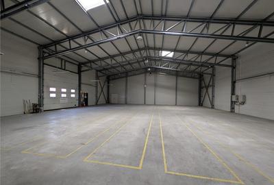 Hala moderna, izolata termic rampa platforma betonata - - 5