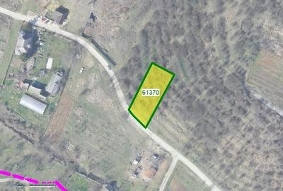 Spațiu comercial, în Paleu - 4