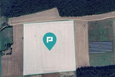 13ha de teren compact Ianova-Bencec - 4