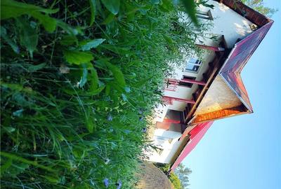 Casă cu 2 camere în Șuici - 5