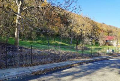 Teren de 1214 mp, în Câmpulung Muscel - 3