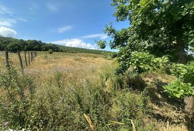 Teren de 576 mp, în Sânmartin - 4