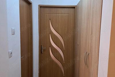 Apartament cu 2 camere nedecomandat în Gojdu - 8