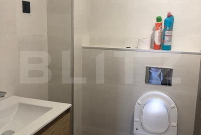 Apartament 2 camere, vedere Lac Plumbuita, parcare subterana - Pret avantajos! - 12
