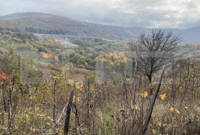 Teren de 787 mp, în Central - 5