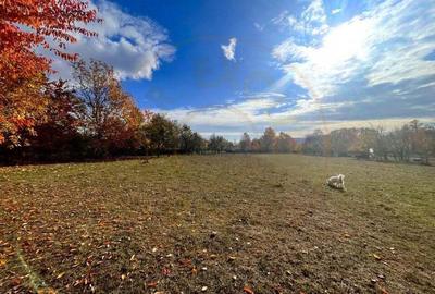 Teren de 1559 mp, în Brebu - 7