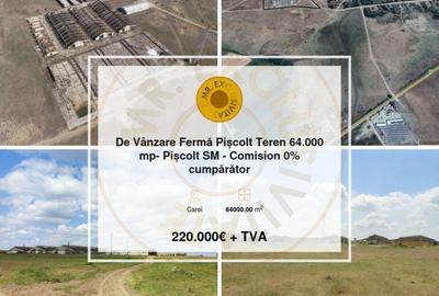 Spațiu industrial, 64000 mp în Carei