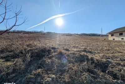 Teren de 10000 mp, în Săucești - 1