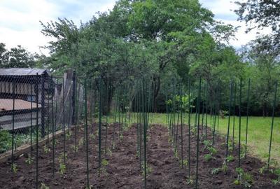 Teren si casa batraneasca in Dumbravesti, Prahova Teren si casa batraneasca in Dumbravesti, Prahova - 3