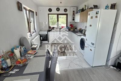 Casă cu 3 camere cu Teren 550 Mp în Teliucu Inferior - 9