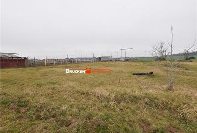 LOC DE CASA IN MARGHITA | 600 MP - 2