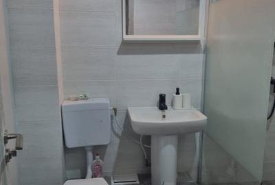 Apartament cu 2 camere decomandat în Abator - 10