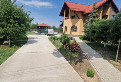 Proprietate deosebita, ocazie de investitie, Cosula, Botosani - 4