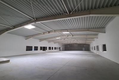Hala productie / depozitare 4800 mp, Timisoara exterior Nord - 4